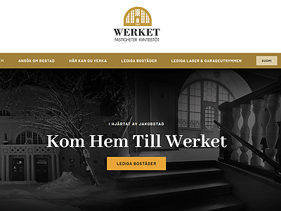 Webbsida Hemsida Google webbdesign Werket Jakobstad pris modell grafisk